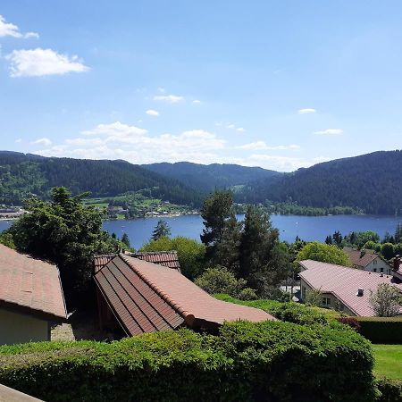 Esprit Myrtille Balcon Vue Lac Gérardmer Eksteriør bilde